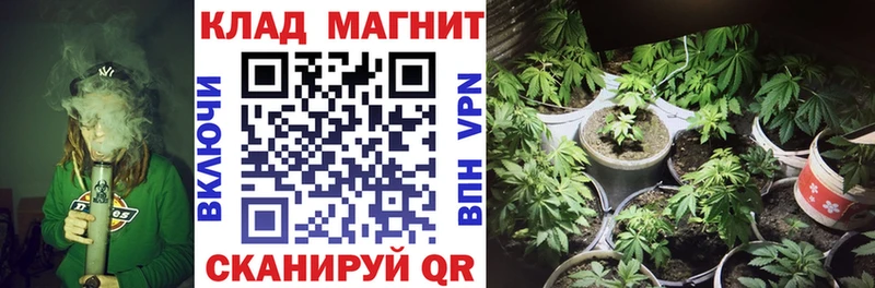 Продажа наркотиков Фролово Амфетамин  МЕФ  ГАШ  ТГК  Бошки Шишки 