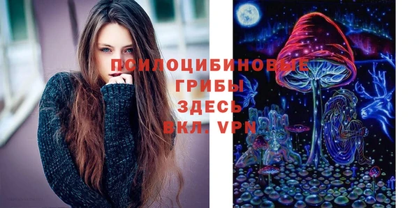 гидропоника Алексеевка