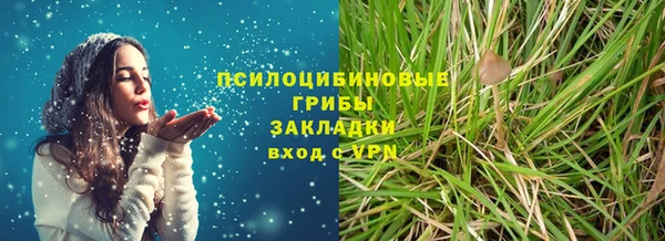spice Алексин